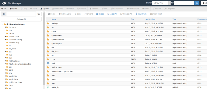 How To Boost Performance In WordPress Through a Database Clean image 4